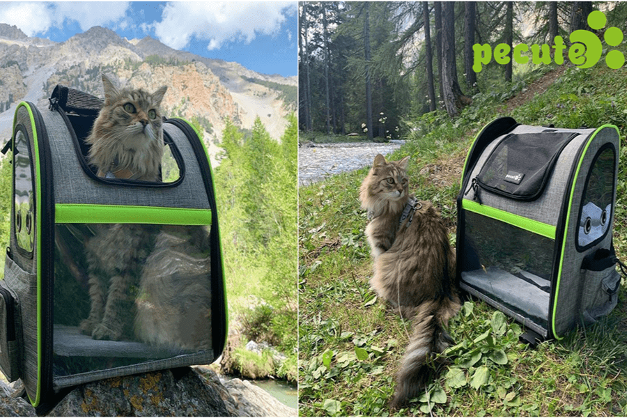 Petcute sac transport chat