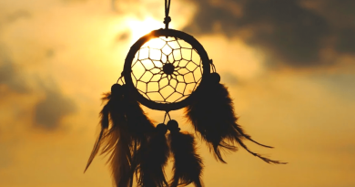 mon chat décédé est apparu dans mon rêve