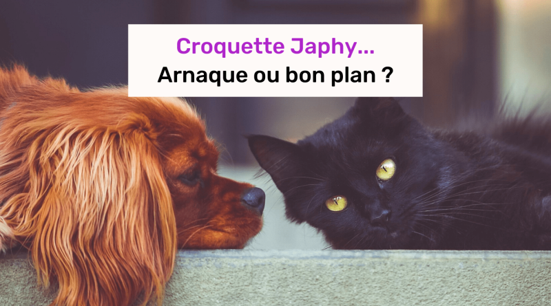 croquette japhy