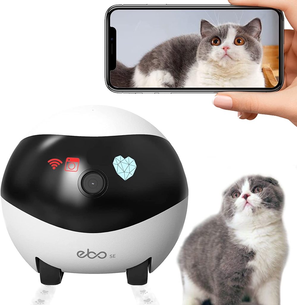 Les 7 (vraies) meilleures caméras pour chat en 2026